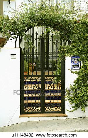Green climber over wrought iron gate in front of white Spanish house View Large Photo Image Stock Image - Green climber over wrought iron gate in front of white Spanish house. Fotosearch