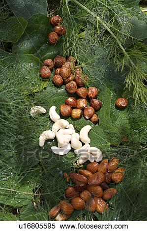green, nuts, food View Large Photo Image Stock Photography - green, nuts, food. Fotosearch