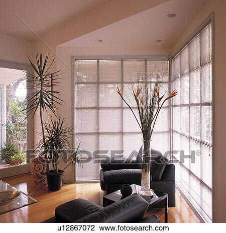 Grey armchairs in odern white living room with slatted blinds View Large Photo Image Stock Image - Grey armchairs in odern white living room with slatted blinds. Fotosearch