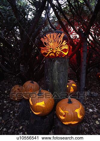 Stock Image - Halloween pumpkins in USA. Fotosearch