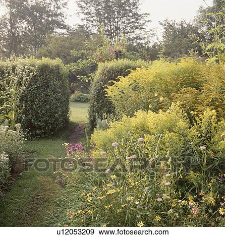 Hedges in large country garden in summer View Large Photo Image Stock Photo - Hedges in large country garden in summer. Fotosearch