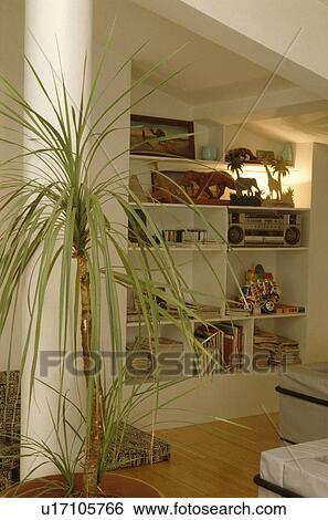 Houseplant and bookshelves in modern living room View Large Photo Image Stock Photograph - Houseplant and bookshelves in modern living room. Fotosearch