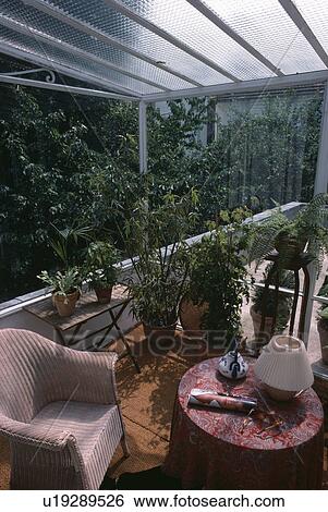 houseplant, interior, lloyd loom, wicker, chair, furniture View Large Photo Image Stock Photograph - houseplant, interior, lloyd loom, wicker, chair, furniture. Fotosearch