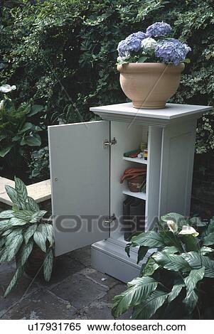 Stock Photography - Hydrangea in terracotta pot on small outdoor storage cupboard with door open. Fotosearch