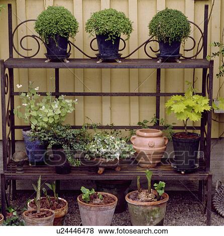 Ironwork stand with containers icluding a row of box balls View Large Photo Image Stock Photo - Ironwork stand with containers icluding a row of box balls . Fotosearch