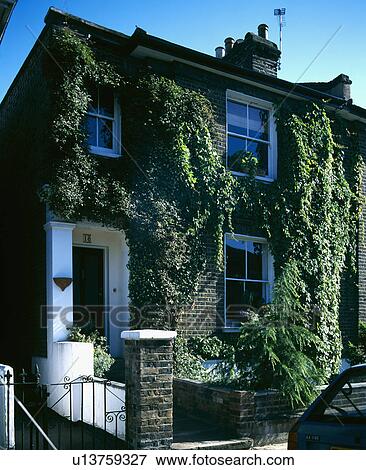 Stock Photo - Ivy climbing up Victorian semi-detached house. Fotosearch