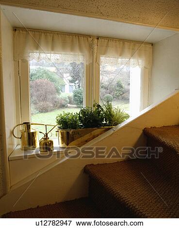 Stock Photo - Lace drapes above window with brass watering cans and green houseplants in brass pot on windowsill beside stairs. Fotosearch