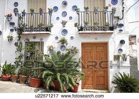 Large fern beside door in traditional Spanish townhouse with balconies & collection of blue & white plates on wall View Large Photo Image Stock Photo - Large fern beside door in traditional Spanish townhouse with balconies & collection of blue & white plates on wall. Fotosearch