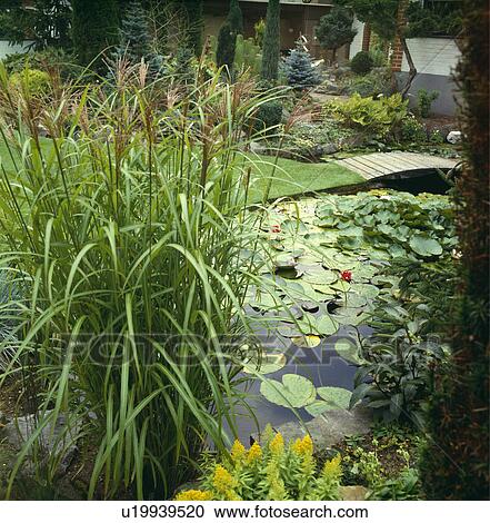 Stock Image - Large rectangular pond in country garden. Fotosearch