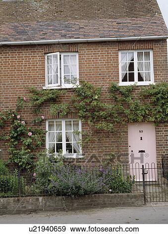 Lavender and iron railing in front of brick cottage with climbing rose and pink front door View Large Photo Image Stock Photo - Lavender and iron railing in front of brick cottage with climbing rose and pink front door. Fotosearch