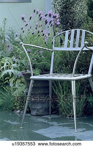 Stock Image - Lavender in pot and metal chair in small garden. Fotosearch