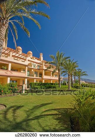 Lawn and palm trees in front of modern neutral apartment building in southern Spain View Large Photo Image Stock Image - Lawn and palm trees in front of modern neutral apartment building in southern Spain. Fotosearch