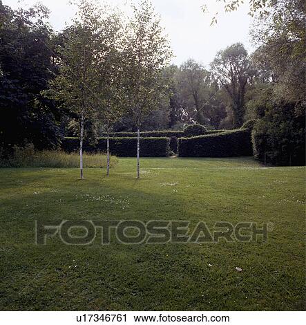 Stock Image -  Lawn and trees in country garden in Autumn. Fotosearch
