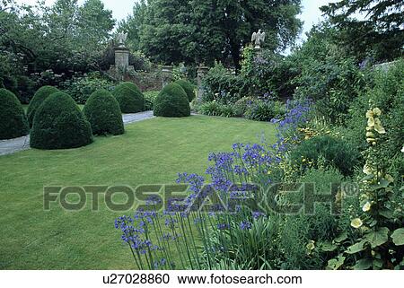 Stock Image - Lawn in summer country garden. Fotosearch