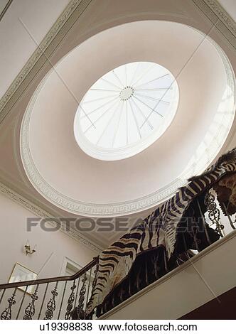 Looking up at circular glass skylight above landing in in Georgian townhouse with zebra skin on the bannisters View Large Photo Image Stock Photo - Looking up at circular glass skylight above landing in in Georgian townhouse with zebra skin on the bannisters. Fotosearch
