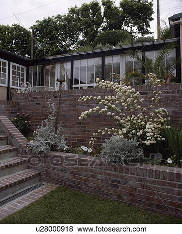 Low brick wall in front of raised border in garden in front of house View Large Photo Image Stock Photo - Low brick wall in front of raised border in garden in front of house. Fotosearch