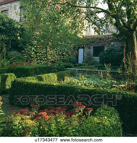 Low clipped hedge in large walled country garden View Large Photo Image Stock Photo - Low clipped hedge in large walled country garden. Fotosearch