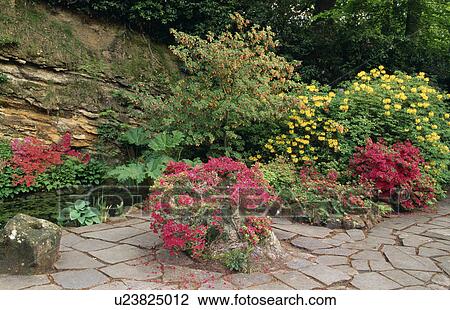 Stock Image - Lush plants around pond in country garden in summer. Fotosearch