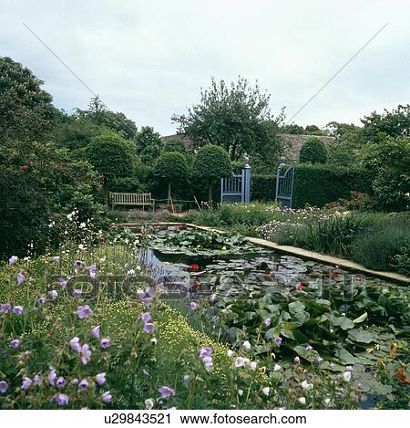 Lush plants around pond in country garden in summer View Large Photo Image Stock Image - Lush plants around pond in country garden in summer. Fotosearch