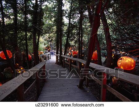 Stock Image - Magical path through woods with pumpkins leading the way.. Fotosearch
