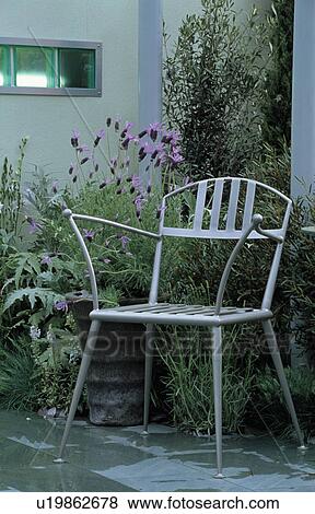 Metal chair and lavender in pot on patio in garden in summer View Large Photo Image Stock Photo - Metal chair and lavender in pot on patio in garden in summer. Fotosearch