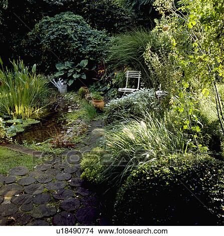 Natural pond in town garden View Large Photo Image Picture - Natural pond in town garden. Fotosearch