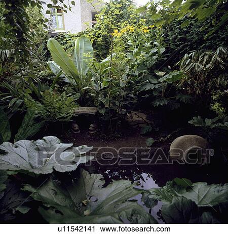 Stock Image - Natural pond in town garden with lush green plants. Fotosearch