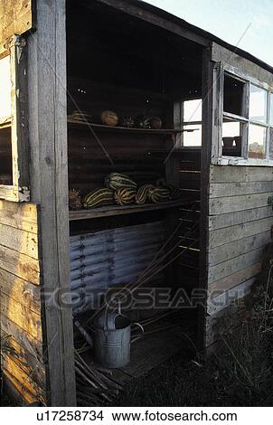 Picture - Old wooden garden shed. Fotosearch