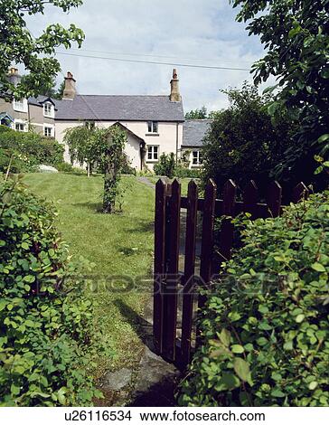 Picture - Open wooden gate and path through lawns to traditional white painted Victorian cottage. Fotosearch