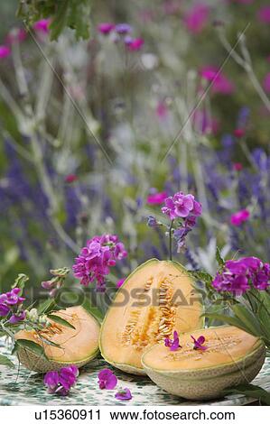 orange, outside, still-life, fruit, food View Large Photo Image Stock Image - orange, outside, still-life, fruit, food. Fotosearch