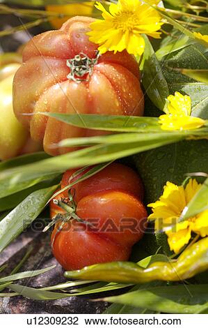 Stock Image - orange, outside, still-life, fruit, yellow, food. Fotosearch