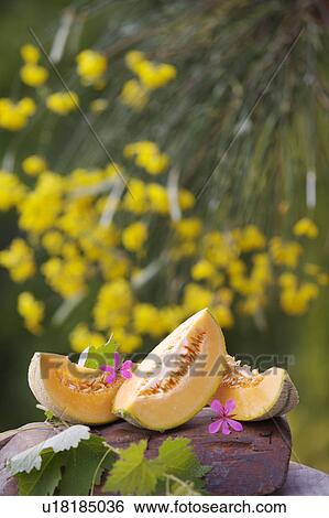 orange, outside, still-life, fruit, yellow, food View Large Photo Image Stock Photograph - orange, outside, still-life, fruit, yellow, food. Fotosearch