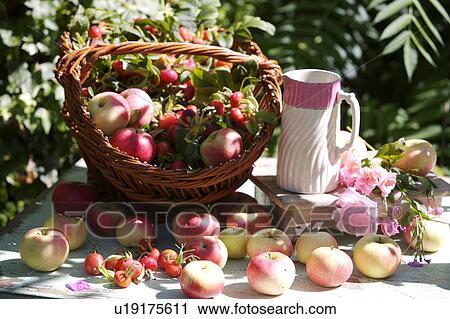 outside, still-life, fruit, food View Large Photo Image Stock Image - outside, still-life, fruit, food. Fotosearch