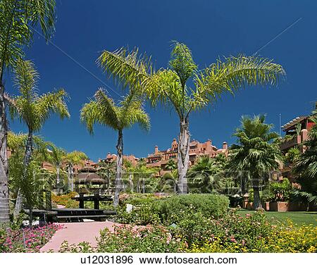 Palm trees in garden of Spanish holiday village View Large Photo Image Stock Photograph - Palm trees in garden of Spanish holiday village. Fotosearch