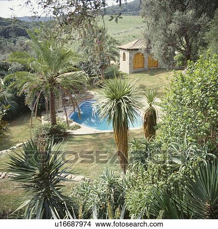Picture - Palm trees in Spanish country garden with small swimming pool. Fotosearch