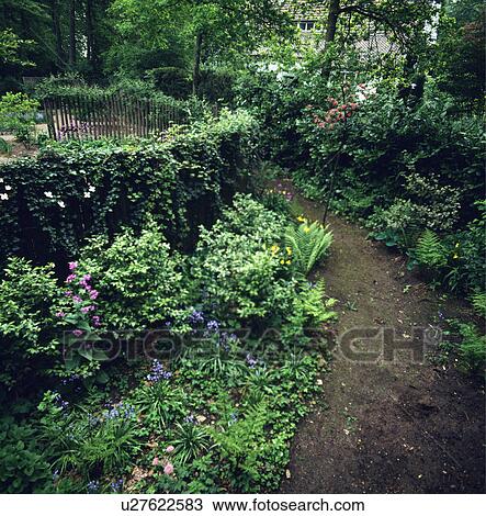 Path through woodland garden with underplanting View Large Photo Image Stock Image - Path through woodland garden with underplanting. Fotosearch