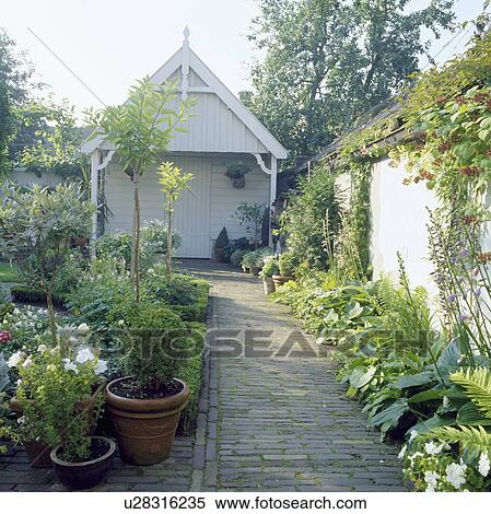 Paved path in walled garden with green borders and plants in pots View Large Photo Image Stock Photography - Paved path in walled garden with green borders and plants in pots. Fotosearch