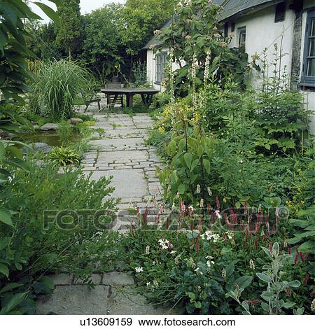 Stock Photo - Paved path through borders beside white cottage in country garden in summer. Fotosearch