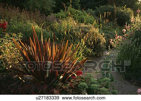 Stock Photo - Paved path through borders in country garden in Autumn. Fotosearch