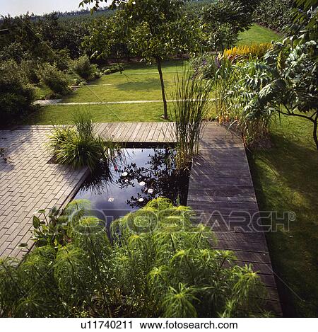 Stock Image - Paving and wooden decking around small rectangular pond in large country garden. Fotosearch