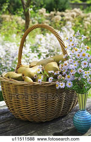 pears, fruit, baskets, still-life, gardens View Large Photo Image Stock Photo - pears, fruit, baskets, still-life, gardens. Fotosearch