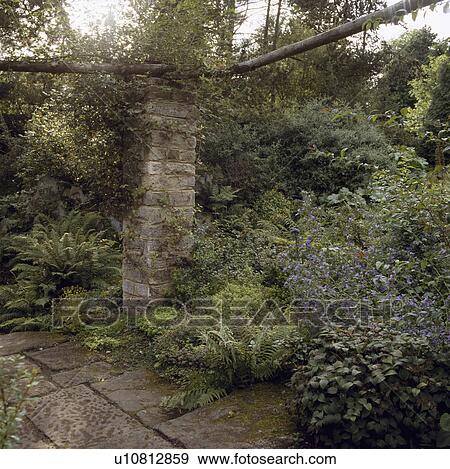 Pergola and stone paving in large country garden in summer View Large Photo Image Stock Photo - Pergola and stone paving in large country garden in summer. Fotosearch