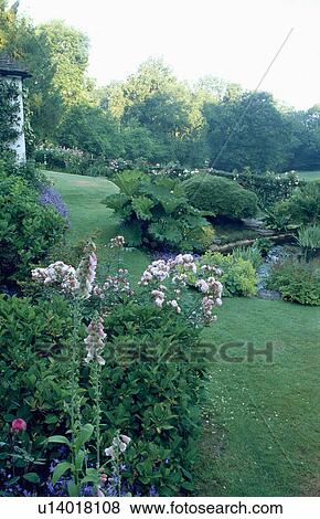 Pink phlox and foxgloves beside lawn in country garden with pond View Large Photo Image Stock Photo - Pink phlox and foxgloves beside lawn in country garden with pond. Fotosearch