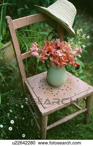 Pink sweet peas in pastel green jug on old pink wooden chair in the garden View Large Photo Image Stock Image - Pink sweet peas in pastel green jug on old pink wooden chair in the garden. Fotosearch