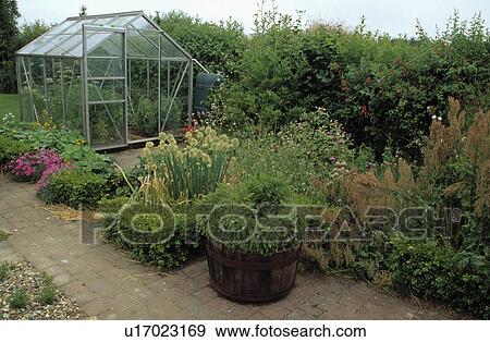 Plants in pots in country herb garden View Large Photo Image Stock Photo - Plants in pots in country herb garden. Fotosearch