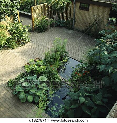 Pond and paving in town garden View Large Photo Image Picture - Pond and paving in town garden. Fotosearch