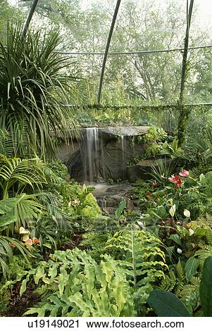 Pond with waterfall in country garden View Large Photo Image Stock Image - Pond with waterfall in country garden. Fotosearch