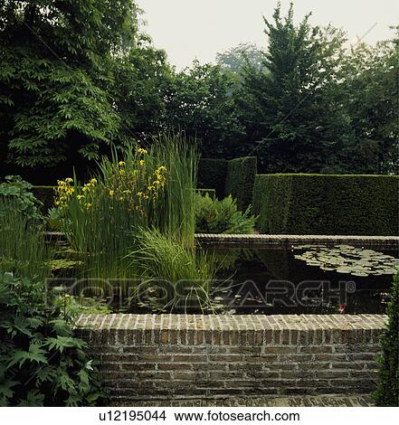 Picture - Raised pond and green plants in summer country garden. Fotosearch