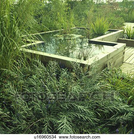 Raised pond in town garden View Large Photo Image Picture - Raised pond in town garden. Fotosearch