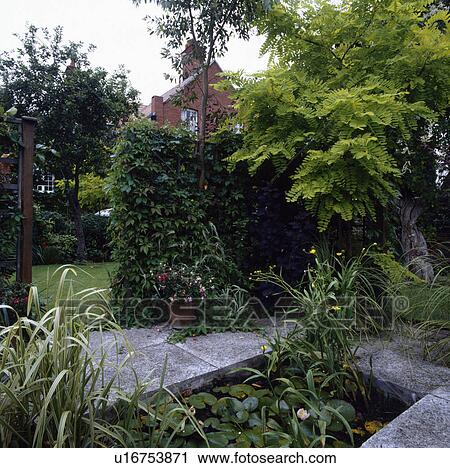 Raised pond in town garden View Large Photo Image Stock Image - Raised pond in town garden. Fotosearch